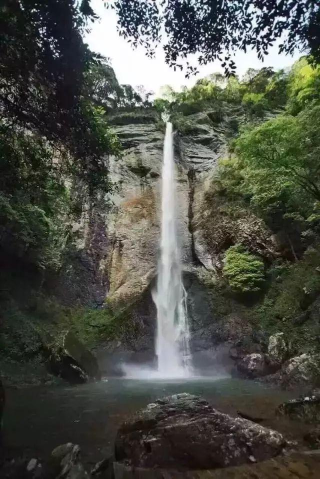 逃离金色的沙漠